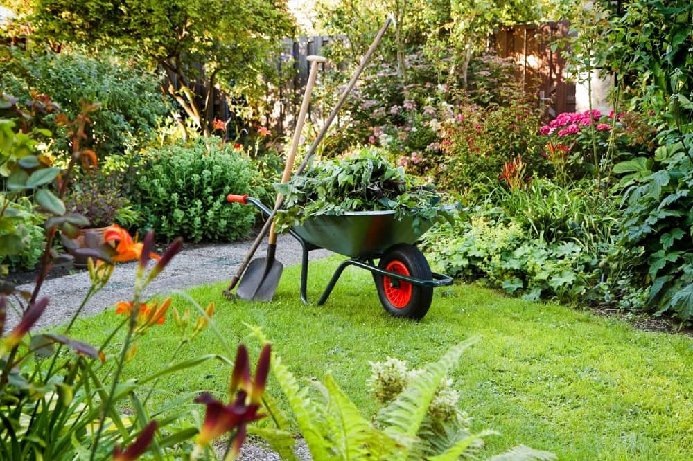 Organize and store: Keep gardening tools, hoses, and equipment in designated storage areas to reduce clutter