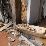 termite problem