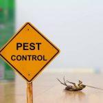 errors with residential pest control