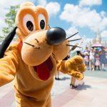 Disney World vacation errors