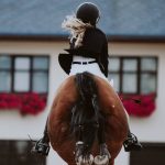 equestrian supplies