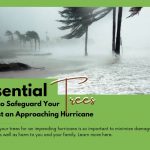 save Your Trees Approaching Hurricane