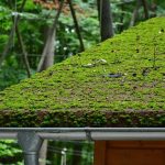 soft wash roof cleaning