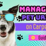 Train your Pet do not Urine on Carpets