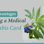 image of Medical Cannabis with text