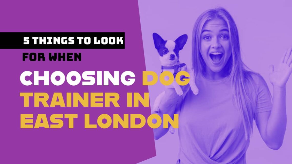 CHOOSING A DOG TRAINER IN EAST LONDON