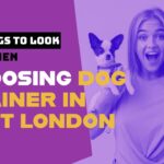 CHOOSING A DOG TRAINER IN EAST LONDON