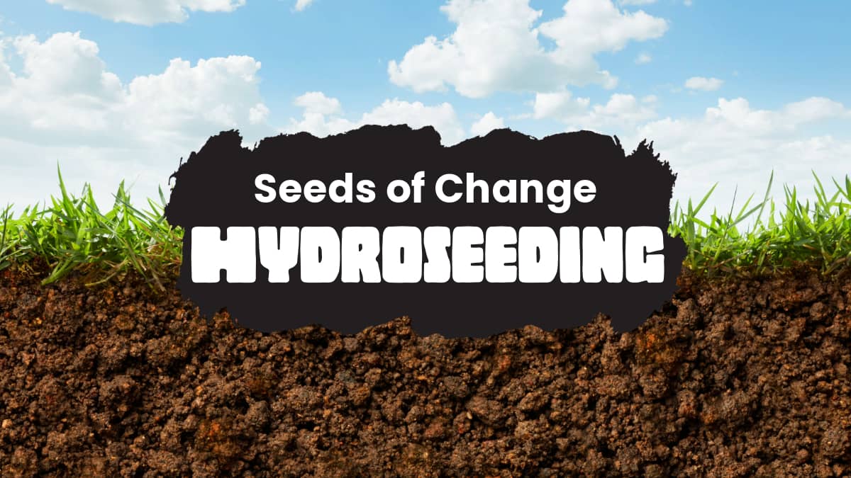 Hydroseeding benefits