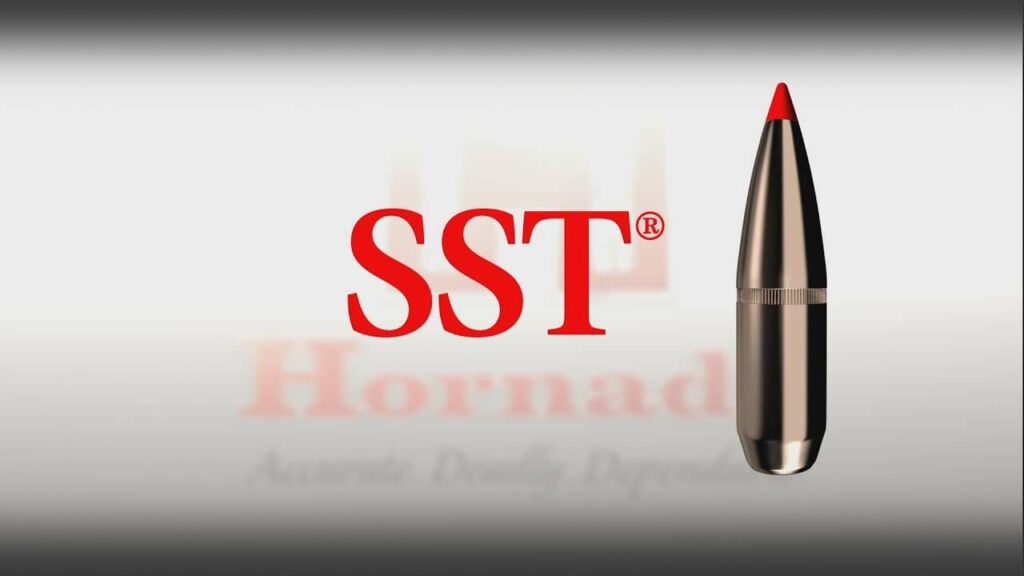 hornady 27402 for whitetail deer SST